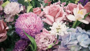 Emphasis on softness